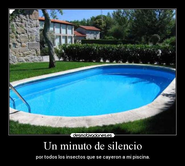 Un minuto de silencio - por todos los insectos que se cayeron a mi piscina.