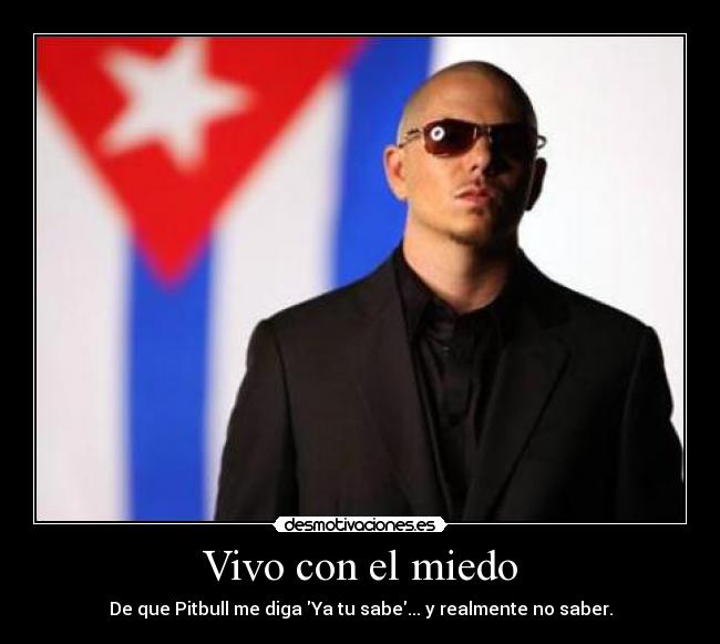 Vivo con el miedo - De que Pitbull me diga Ya tu sabe... y realmente no saber.