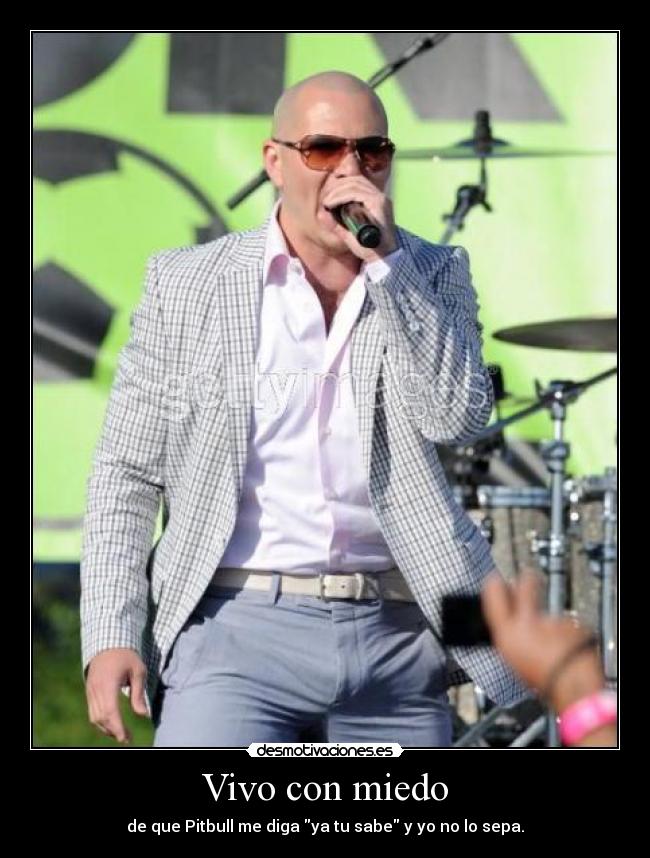 Vivo con miedo - de que Pitbull me diga ya tu sabe y yo no lo sepa.