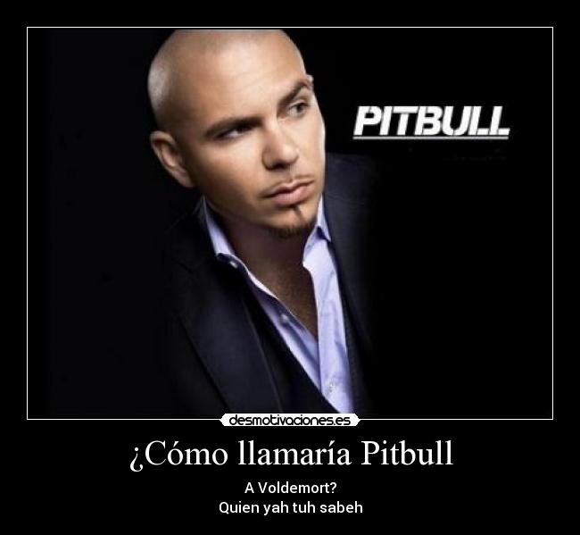 ¿Cómo llamaría Pitbull -
