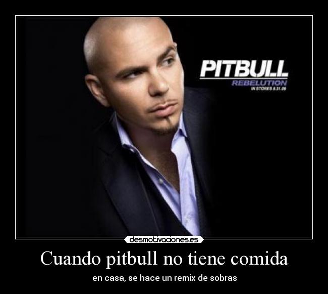 Cuando pitbull no tiene comida -
