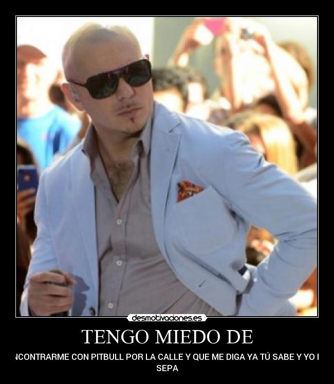 TENGO MIEDO DE - ENCONTRARME CON PITBULL POR LA CALLE Y QUE ME DIGA YA TÚ SABE Y YO NO
SEPA