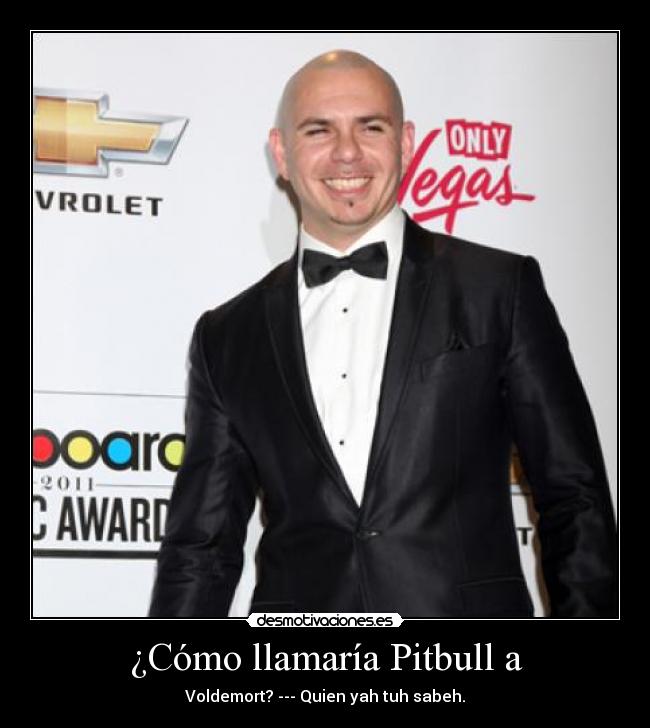 ¿Cómo llamaría Pitbull a -