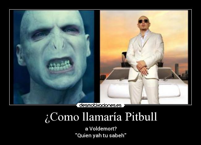 ¿Como llamaría Pitbull - a Voldemort?
Quien yah tu sabeh