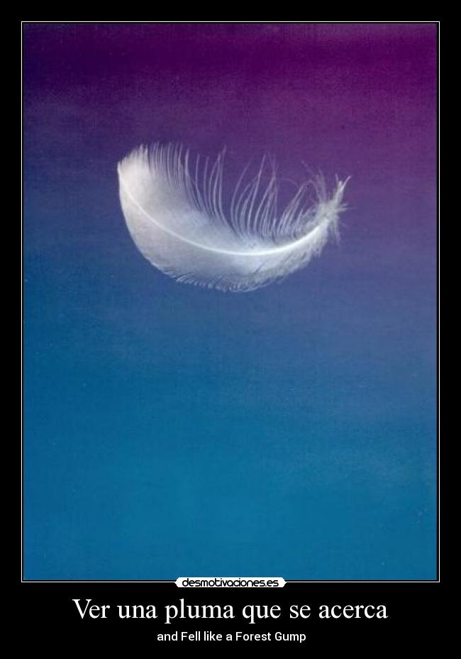 carteles ver una pluma que acerca desmotivaciones