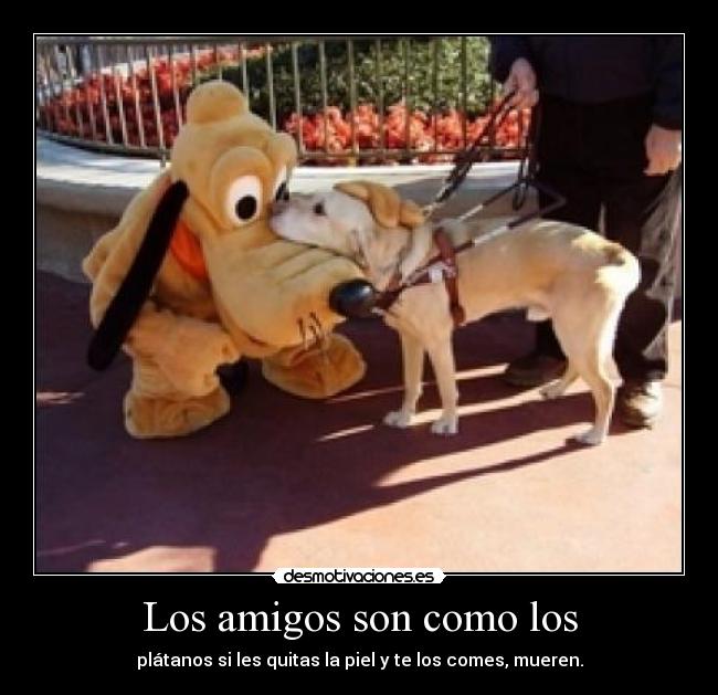 carteles amigos lol desmotivaciones