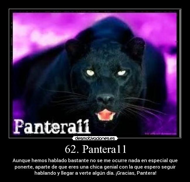 62. Pantera11 -