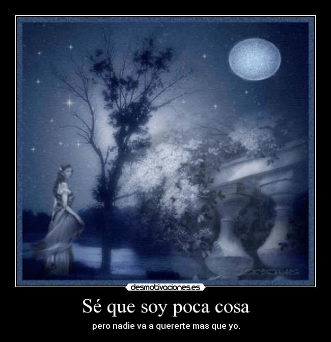 Sé que soy poca cosa -