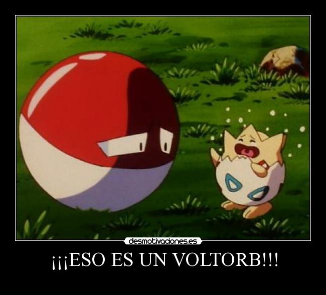 ¡¡¡ESO ES UN VOLTORB!!! -