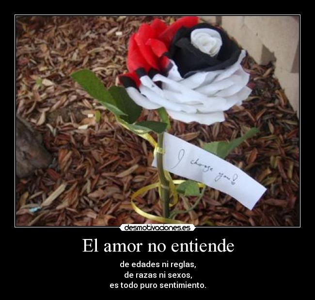 El amor no entiende - de edades ni reglas,
de razas ni sexos,
es todo puro sentimiento.