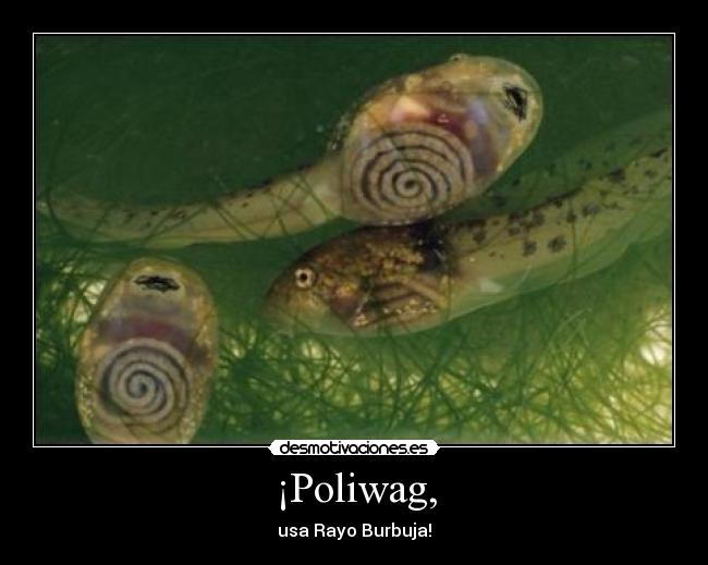 ¡Poliwag, - 