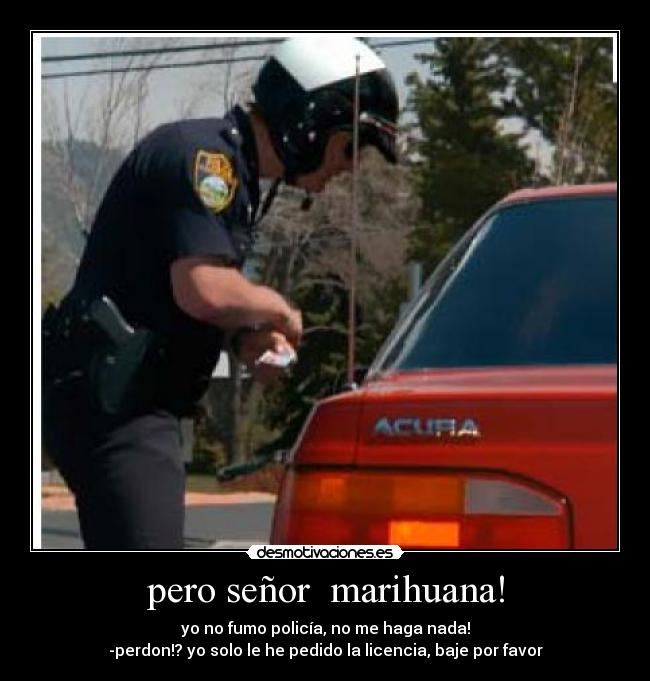 pero señor  marihuana! - 