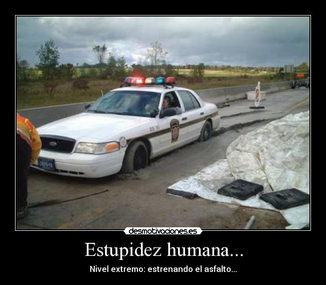 Estupidez humana... -
