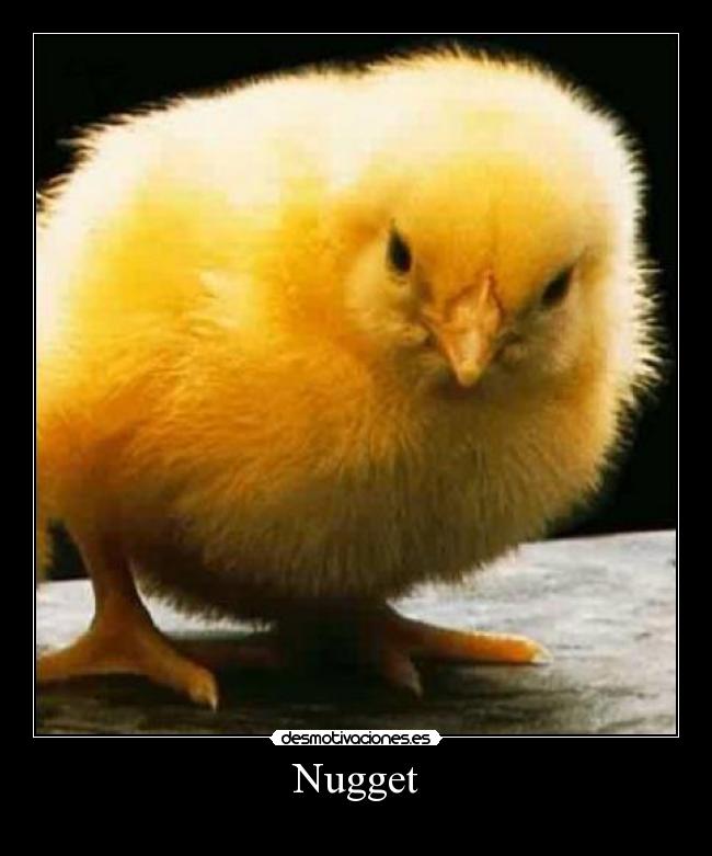 carteles pollito nugget desmotivaciones