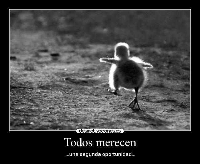 carteles dreadk crees contrario desmotivaciones