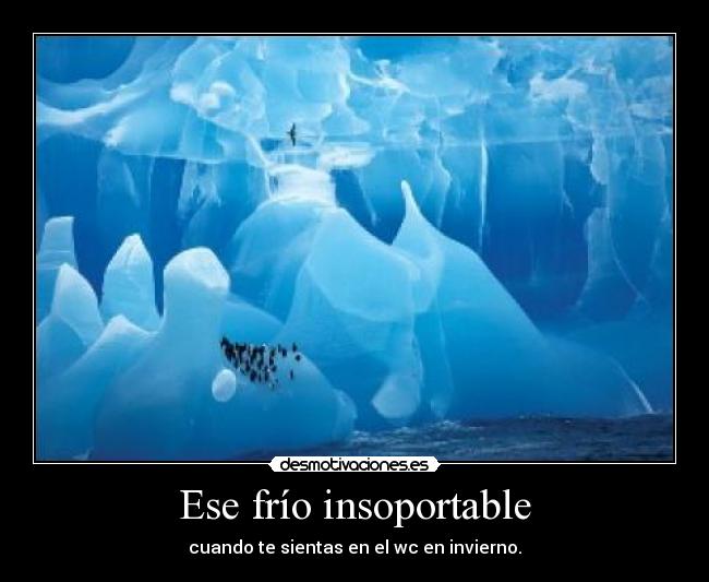 Ese frío insoportable - 