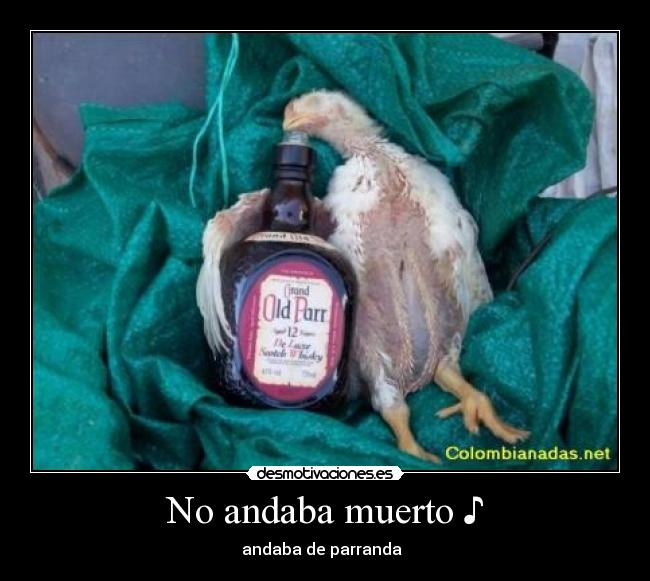 No andaba muerto ♪ - andaba de parranda ♪♪