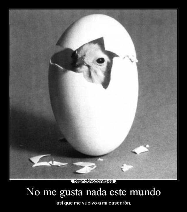No me gusta nada este mundo - así que me vuelvo a mi cascarón.