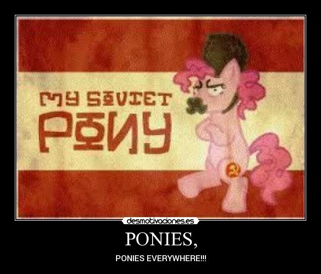 PONIES, - PONIES EVERYWHERE!!!