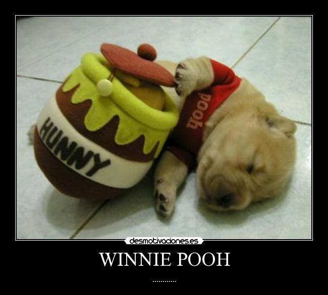 WINNIE POOH - 