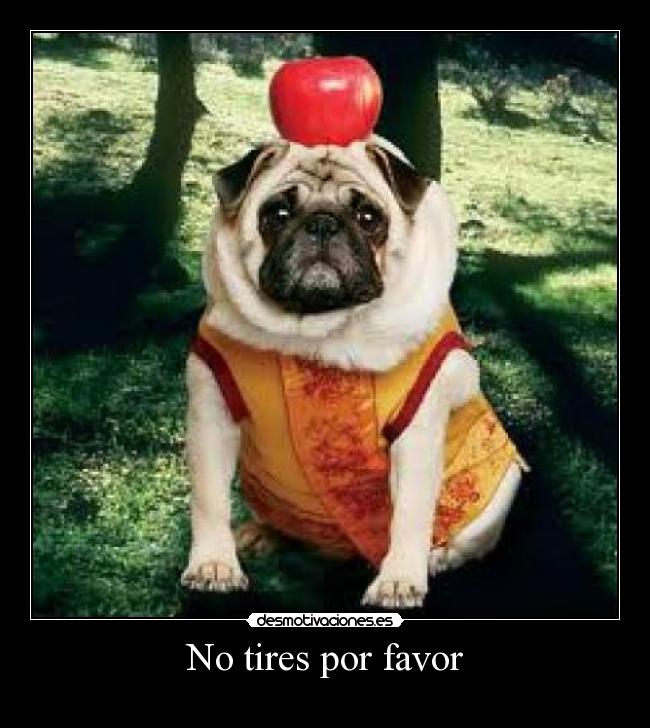 No tires por favor - 