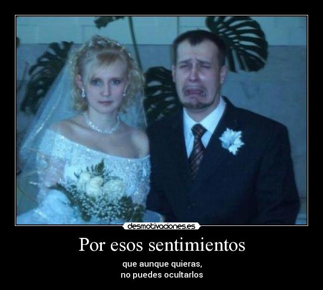 Por esos sentimientos - 