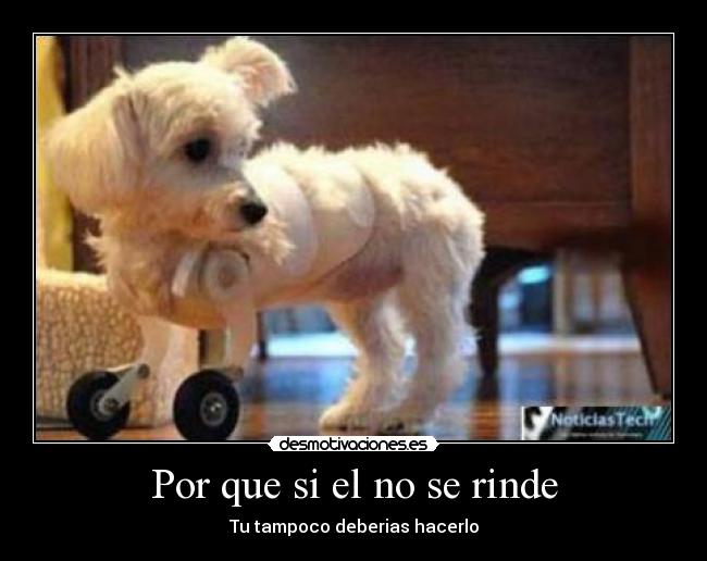 Por que si el no se rinde -