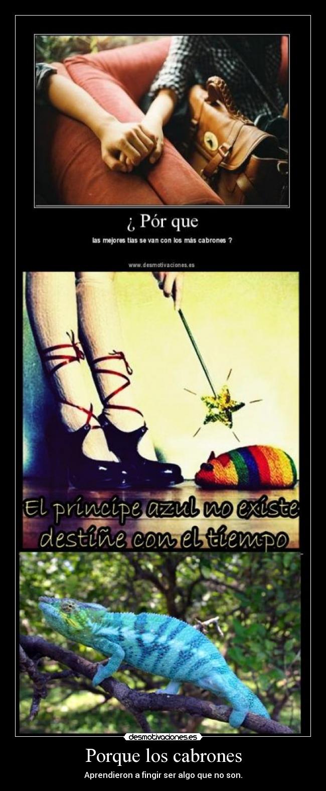 Porque los cabrones - Aprendieron a fingir ser algo que no son.