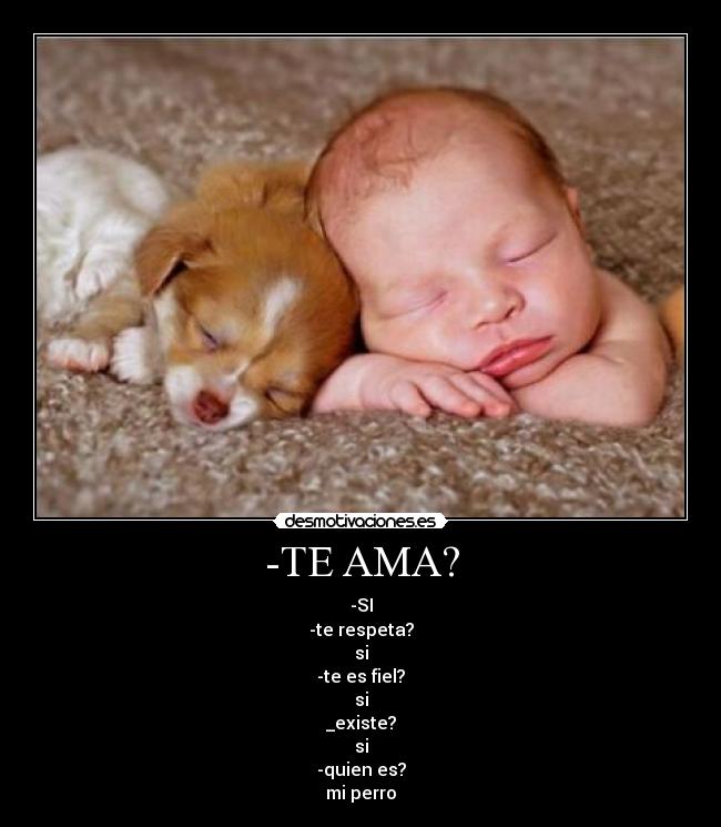 -TE AMA? - -SI
-te respeta?
si
-te es fiel?
si
_existe?
si
-quien es?
mi perro