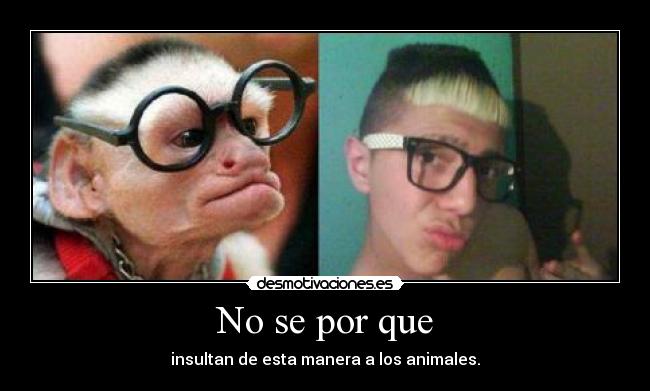 No se por que - insultan de esta manera a los animales.
