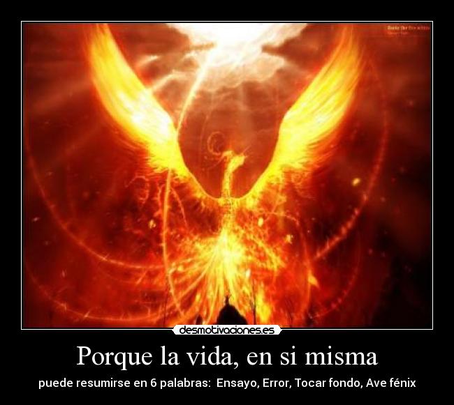 Porque la vida, en si misma - puede resumirse en 6 palabras: Ensayo, Error, Tocar fondo, Ave fénix