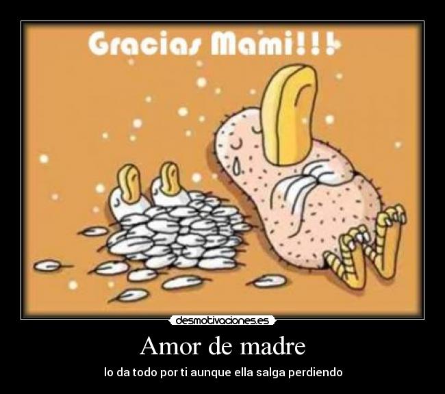 Amor de madre -