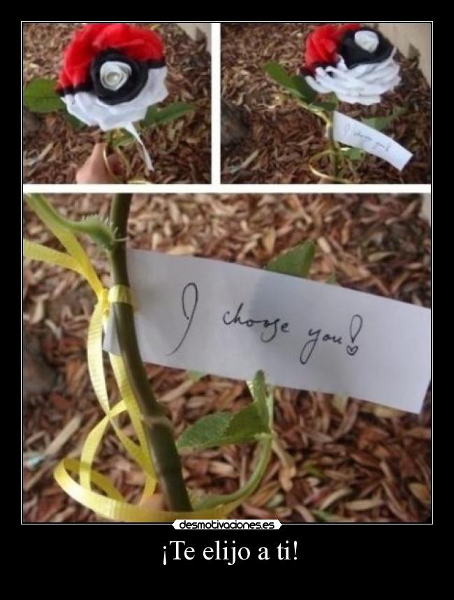 ¡Te elijo a ti! -