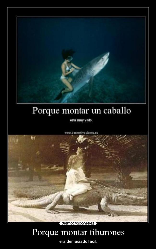 Porque montar tiburones - 