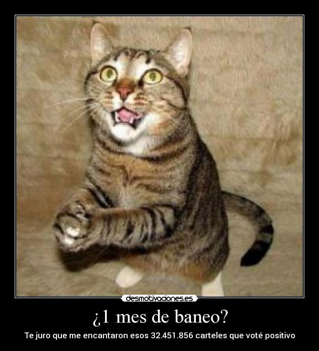 ¿1 mes de baneo? - Te juro que me encantaron esos 32.451.856 carteles que voté positivo