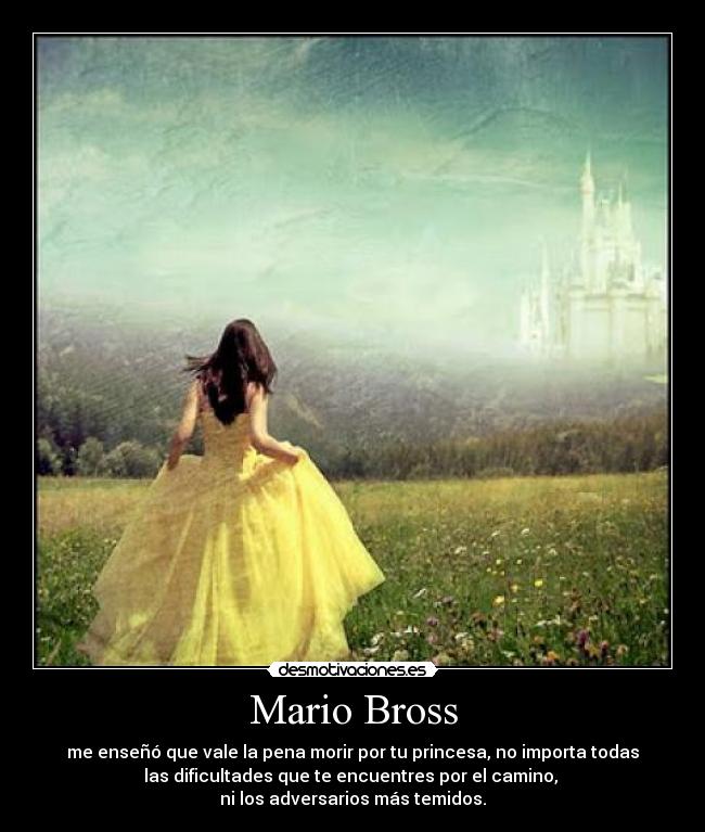 Mario Bross - me enseñó que vale la pena morir por tu princesa, no importa todas
las dificultades que te encuentres por el camino,
ni los adversarios más temidos.