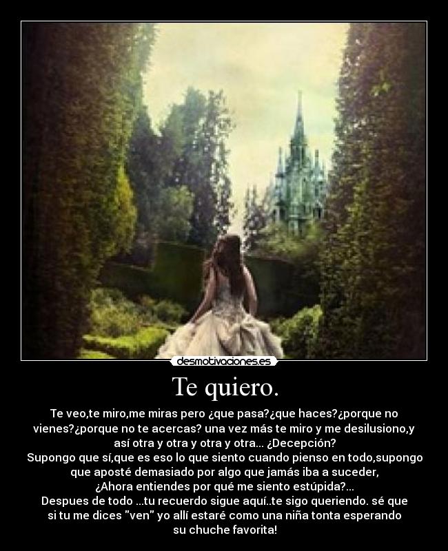 Te quiero. - Te veo,te miro,me miras pero ¿que pasa?¿que haces?¿porque no
vienes?¿porque no te acercas? una vez más te miro y me desilusiono,y
así otra y otra y otra y otra... ¿Decepción?
Supongo que sí,que es eso lo que siento cuando pienso en todo,supongo
que aposté demasiado por algo que jamás iba a suceder,
¿Ahora entiendes por qué me siento estúpida?...
Despues de todo ...tu recuerdo sigue aquí..te sigo queriendo. sé que
si tu me dices ven yo allí estaré como una niña tonta esperando
su chuche favorita!