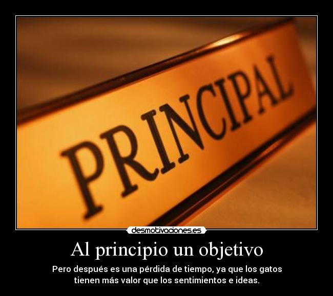 Al principio un objetivo - Pero después es una pérdida de tiempo, ya que los gatos
tienen más valor que los sentimientos e ideas.