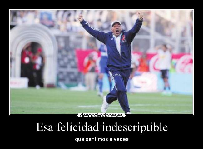 Esa felicidad indescriptible - que sentimos a veces