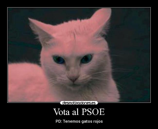 Vota al PSOE -