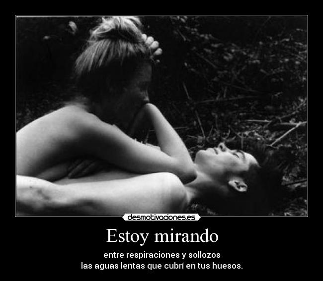 Estoy mirando - entre respiraciones y sollozos
las aguas lentas que cubrí en tus huesos.