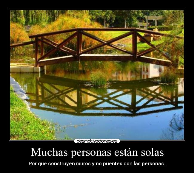 Muchas personas están solas - Por que construyen muros y no puentes con las personas .