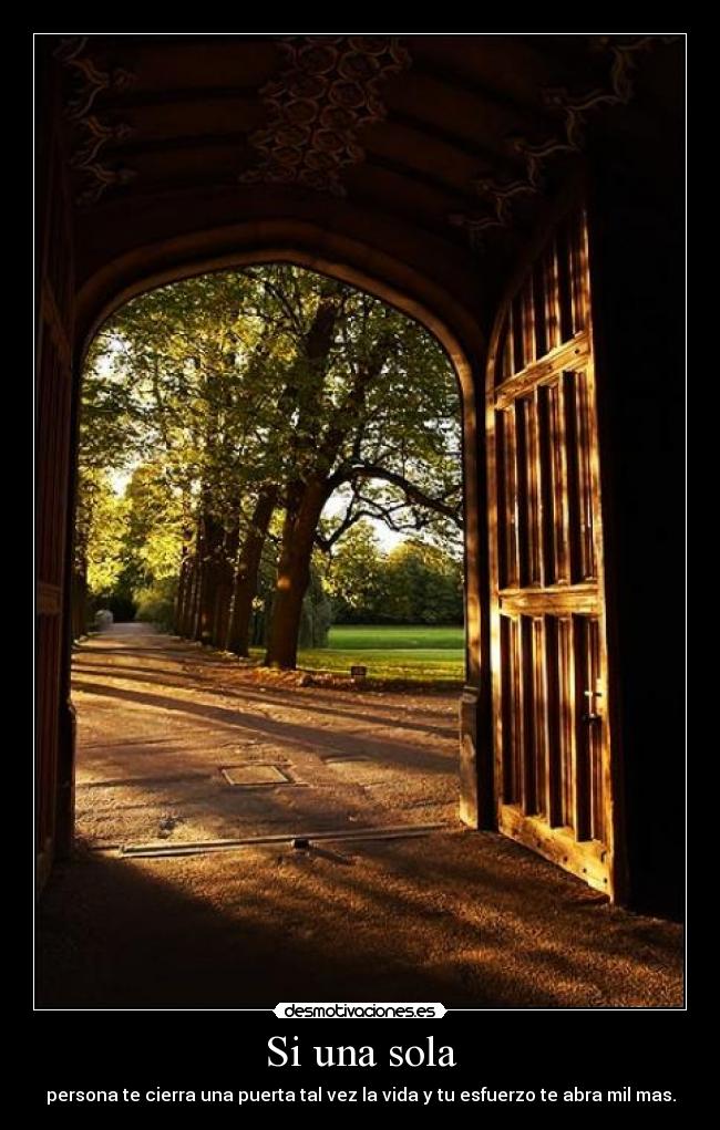 carteles becausemaybeyouwas desmotivaciones