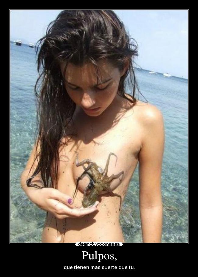 Pulpos, - que tienen mas suerte que tu.