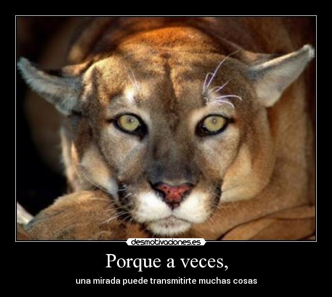 Porque a veces, - 