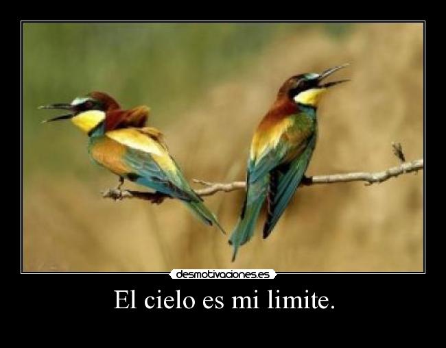 El cielo es mi limite. - 