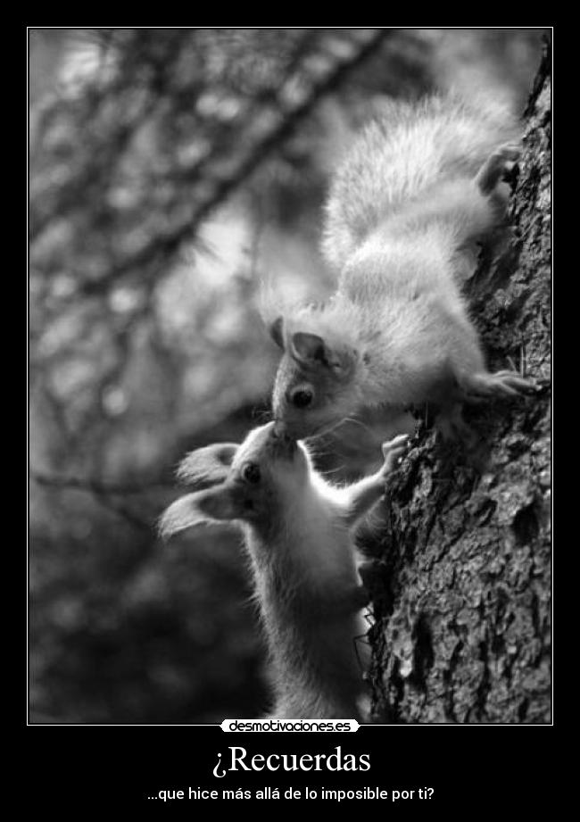 carteles dreadk dime recuerdas carajoooooooooooooooooooo desmotivaciones