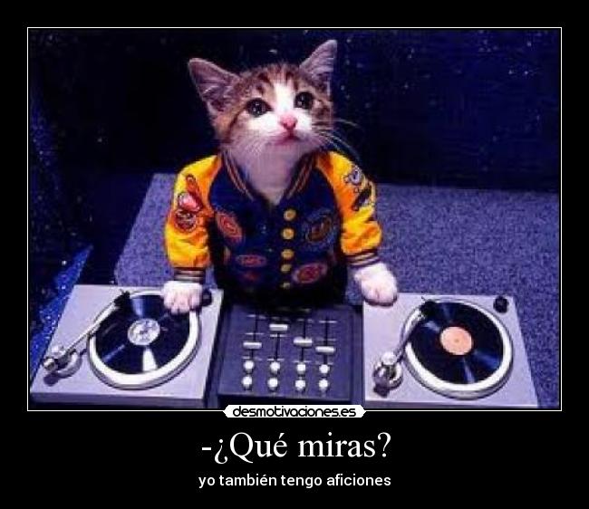 -¿Qué miras? - yo también tengo aficiones