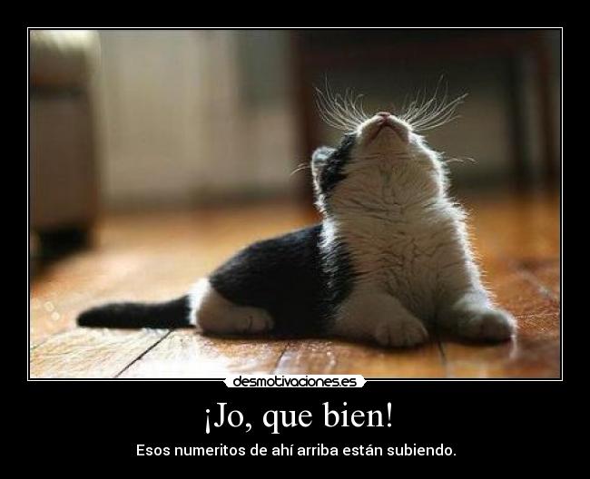 ¡Jo, que bien! - Esos numeritos de ahí arriba están subiendo.