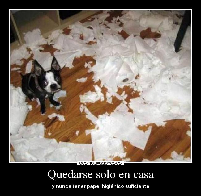 Quedarse solo en casa -